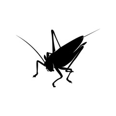 Grasshopper Logo Design Vector Illustration. Grasshopper Design Template