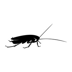 Cockroach Logo Design Vector Illustration. Cockroach Design Template