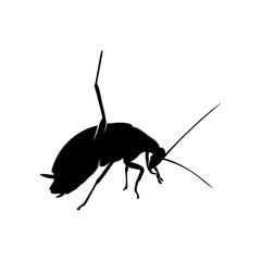 Cockroach Logo Design Vector Illustration. Cockroach Design Template
