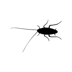 Cockroach Logo Design Vector Illustration. Cockroach Design Template