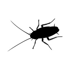 Cockroach Logo Design Vector Illustration. Cockroach Design Template
