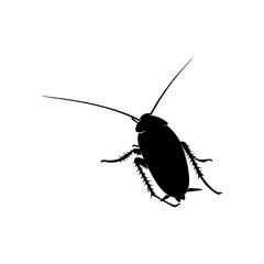 Cockroach Logo Design Vector Illustration. Cockroach Design Template