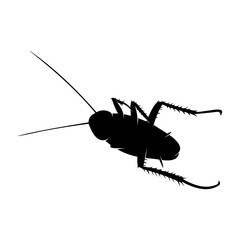Cockroach Logo Design Vector Illustration. Cockroach Design Template