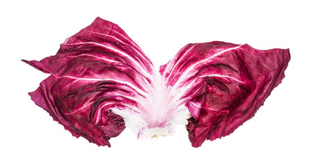 fresh leaf of Radicchio (Italian chicory) isolated