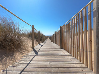 Wooden footpath through dunes in the Atlantic ocean coast. Guincho beach at sunset, Cascais Portugal