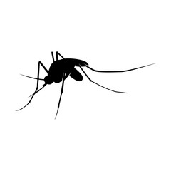 Mosquito Logo Design Vector Illustration. Mosquito Design Template