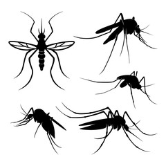 Set of Mosquito Logo Design Vector Illustration. Mosquito Design Template