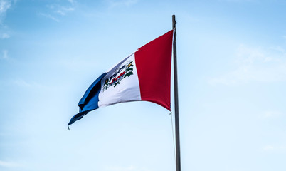 A beautiful view of brazil state flag (bandeira de Alagoas).
