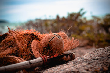 Coconut peeler on the beach