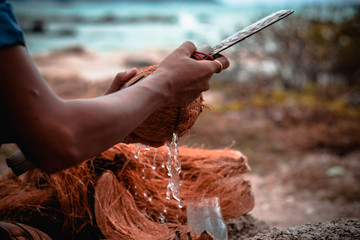 People cut coconut on the beach.