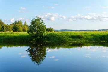 Fototapeta premium summer landscape of a calm oxbow lake with grassy shores