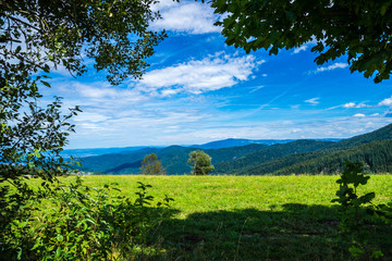 Fototapeta na wymiar Germany, Black forest landscape of endless tree covered mountains and valley from a mountain at st ulrich near freiburg im breisgau and schauinsland