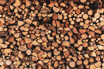 Pile of wooden logs, abstract Photo
