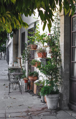 Mediterranean terrace with plants in pots, Cyprus