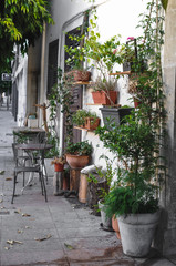 Fototapeta na wymiar Mediterranean terrace with plants in pots, Cyprus