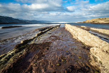 Close up of the flysch, a geological rock formations caused by the erosion of the sea in Basque Country Atlantic coast, Zumaia, Spain