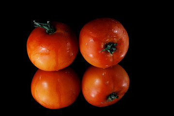 Red tomatoes with reflection on methacrylate