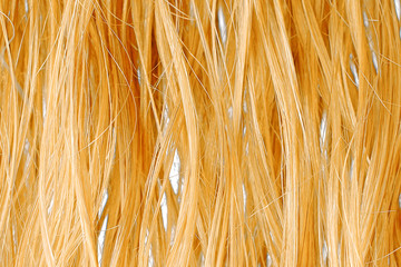 Wet blond hair as background, texture