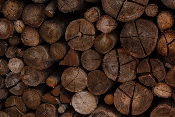 Firewood stack with several cracked tree trunks