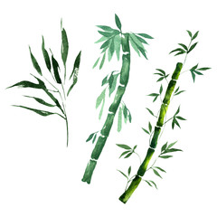 Obraz premium Bamboo green leaves and stalks. Watercolor background illustration set. Isolated bamboo illustration element.
