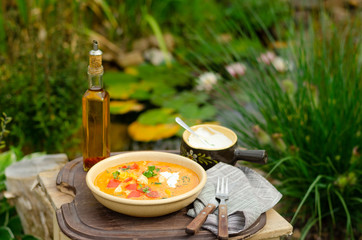 Healty and delicious chicken curry
