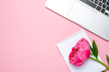 Piony flower, laptop and notebook with copy space for your text on pastel pink background.