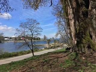 Fototapeta premium Sunset beach seawall Vancouver