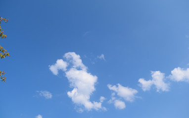 Bottom view of the blue sky background with white clouds.