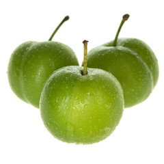 heap of green cherry-plum isolated on white background