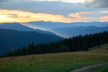 Naklejka na ściany i meble mountain hills covered with spruce forest, orange sunset light in the gorge