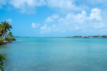 Exotic Water Colors of Florida Keys