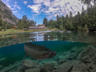 Famous blue lake in Switzerland near Interlaken