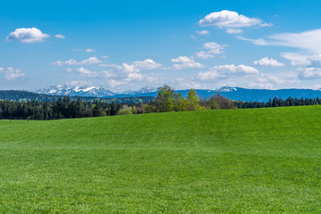 Landschaft um Sufferloh bei Holzkirchen mit Alpenblick