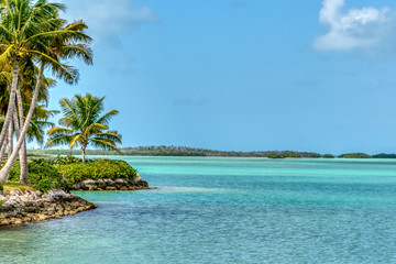 Fototapeta na wymiar Exotic Water Colors of Florida Keys