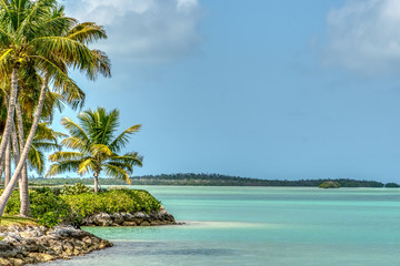 Florida and its majestic and beautiful beaches