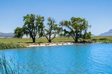 Lake View in South Africa