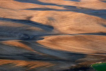 Sunset view of the spring fields in the Palouse Hills region of Washington state.