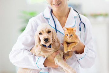 Vet with dog and cat. Puppy and kitten at doctor. - obrazy, fototapety, plakaty
