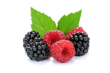 Composition of fresh raspberries and blackberries fruits with green leaves in close-up isolated on white background.
