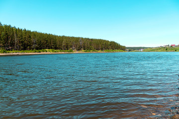 Pond near the green forest, blue sky. Forest landscape, blue sky,  shore.