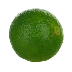 fresh green limequat on white background