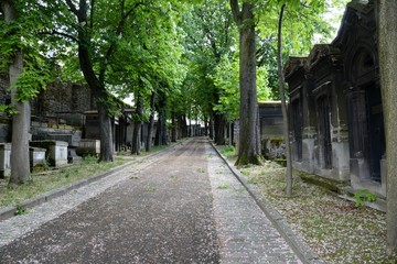 von Bäumen gesäumte Straße auf dem Pariser Friedhof Montmatre in Frankreich