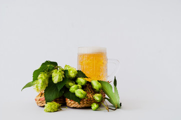 Mug of beer mit fresh hops. Oktoberfest beer festival concept