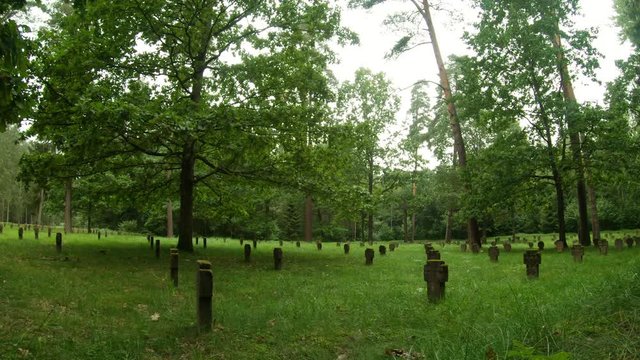 WWI German Soldiers And Victims Cemetery In The Forest.
