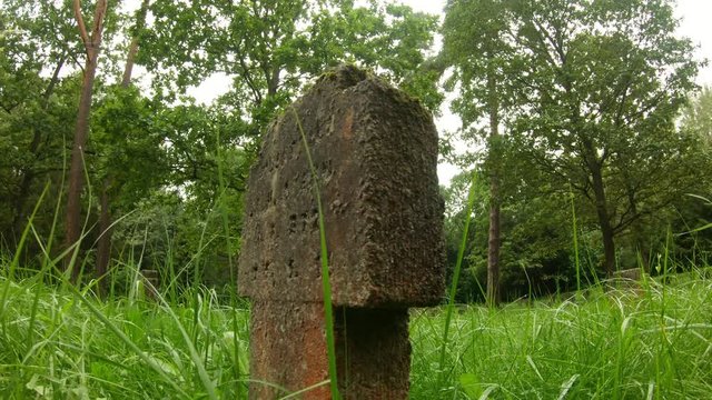 WWI German Soldiers And Victims Cemetery In The Forest.