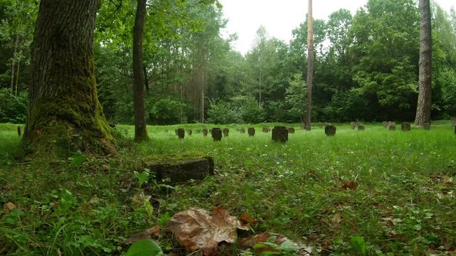 WWI German Soldiers And Victims Cemetery In The Forest. Pan Right