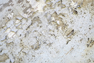 Old peeling paint on a wooden surface. retro wall background.
