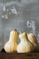 Yellow Halloween pumpkins in wooden tray on grey background