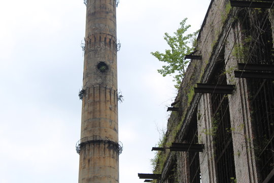Concrete pipe in which the shell hit.