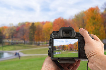 Photography concept with hand holding a modern DSLR capturing autumn scenery